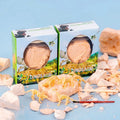 Dinosaur fossil egg dig and discover excavation kit for children
