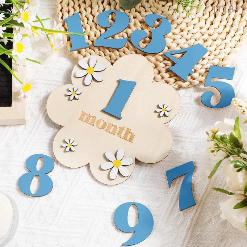 Baby monthly milestone cards set